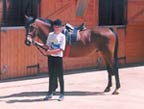 me&horse