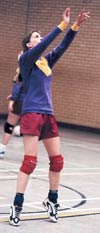 volleytoes